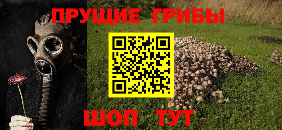 Псилоцибиновые грибы Magic Shrooms Дербент