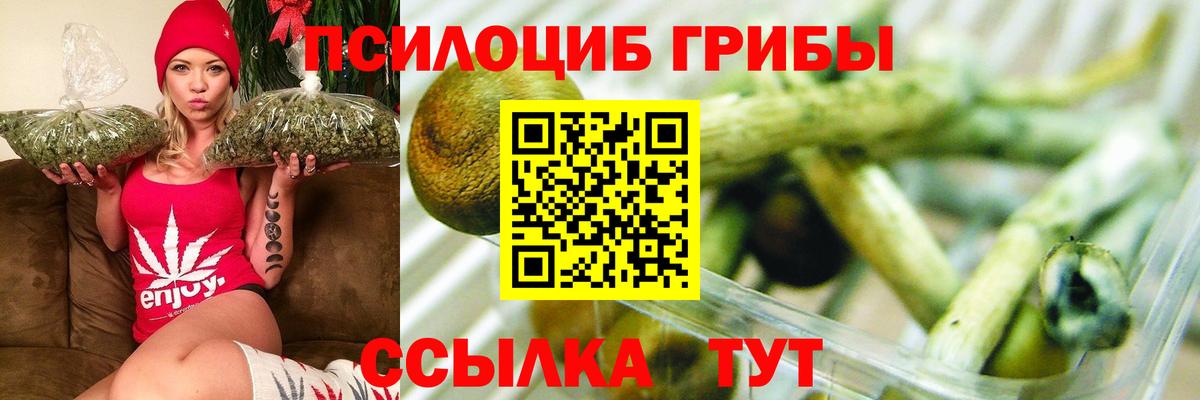 Дербент  Псилоцибиновые грибы ЛСД  Галлюциногенные грибы мухоморы  Вход с VPN 